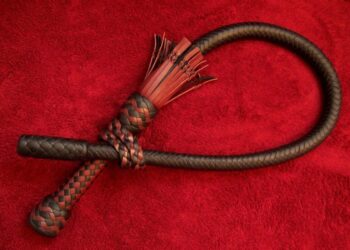 15 лет и  888 ударов плетью — в Иране наказали проазербайджанских экстремистов