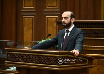 Представляющая интересы Армении команда подала серьезный иск в Международный суд ООН: Глава МИД Армении