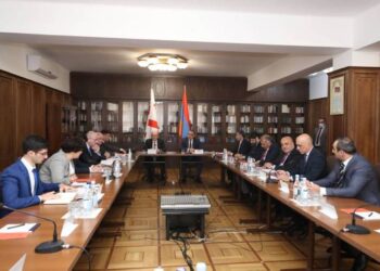 Судьи Конституционных судов Армении и Грузии провели рабочие обсуждения в расширенном составе