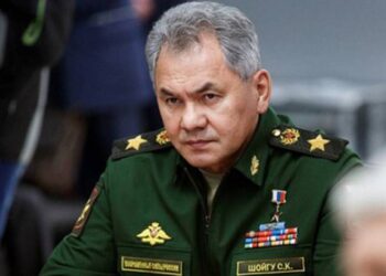 Министр обороны России Сергей Шойгу поздравил министра обороны Армении Сурена Папикяна