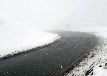 Из стран ЕАЭС в Армению