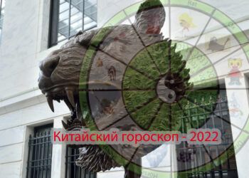Будет мурлыкать или рычать? Каким будет 2022 год по китайскому гороскопу