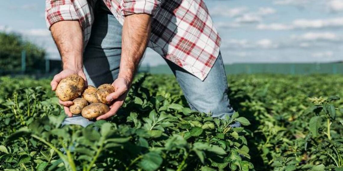 Швейцария поможет Армении в модернизации сельскохозяйственной системы