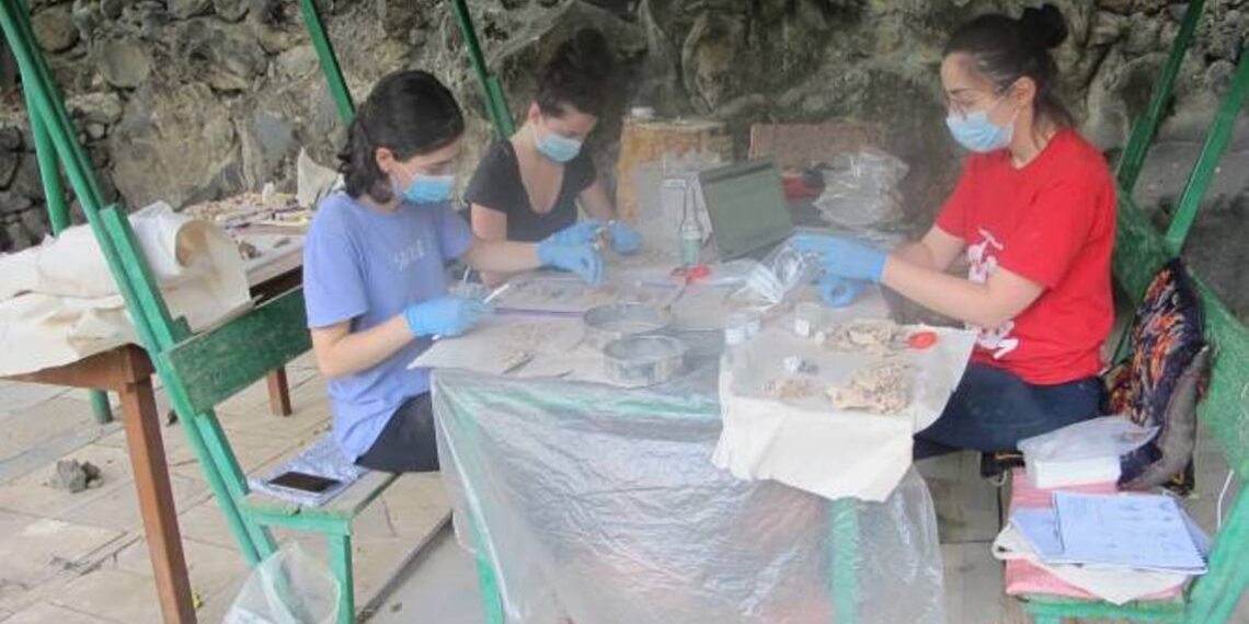 Армянский генофонд имеет  более чем 6 000-летнюю историю — ПОДРОБНОСТИ