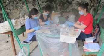 Армянский генофонд имеет более чем 6 000-летнюю историю — ПОДРОБНОСТИ