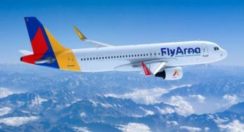 Национальный авиаперевозчик «Флай Арна» планирует полеты начать в конце весны: представлен бренд компании