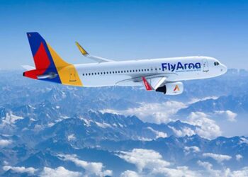 Давид Папазян назначен председателем Совета директоров авиакомпании «Флай Арна»