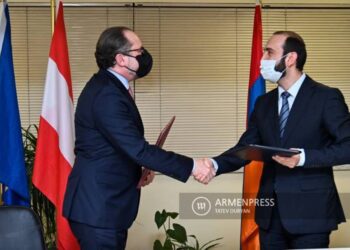 Главы МИД Армении и Австрии подписали Совместную декларацию