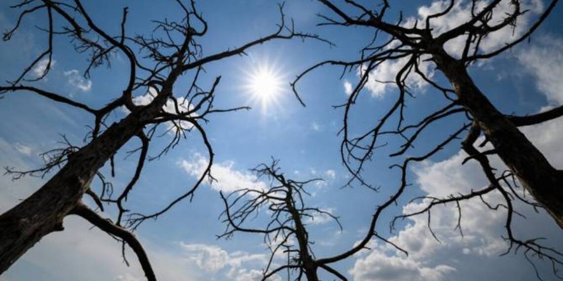 В ближайшие дни температура воздуха в Армении повысится еще на 3-5 градусов