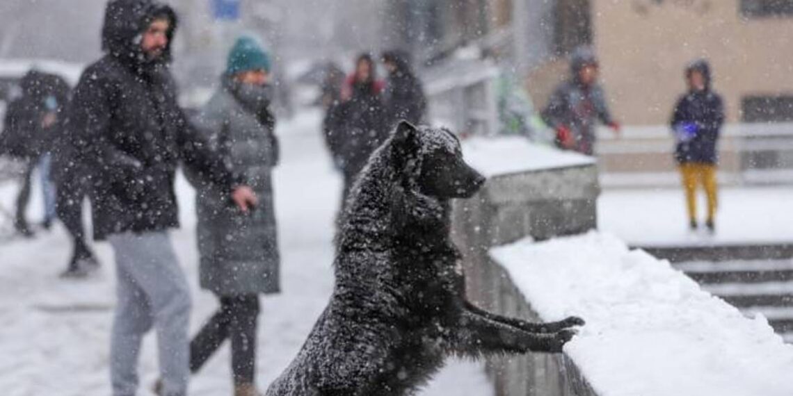 В Армении похолодает