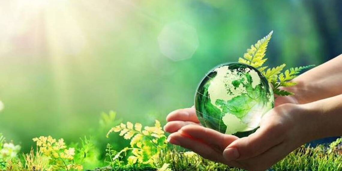 Стартовала программа «Зеленый рост для малого и среднего бизнеса Армении»