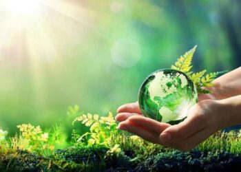 Стартовала программа «Зеленый рост для малого и среднего бизнеса Армении»