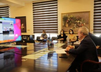 Ваграм Думанян и министр науки, исследований и технологий Ирана обсудили вопросы сотрудничества посредством видеосвязи