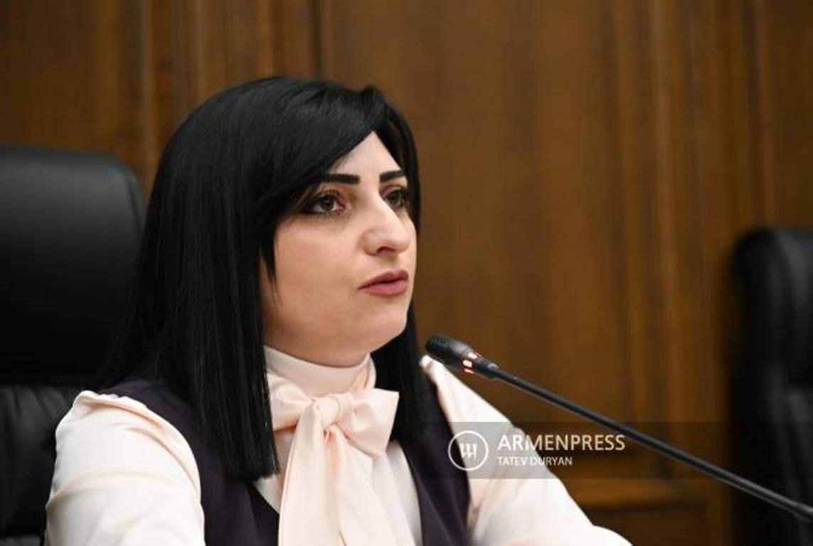 Глава комиссии НС по правам человека призвала ОБСЕ оказать давление на Азербайджан
