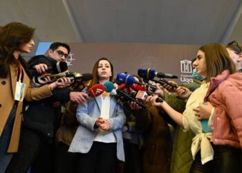 Мария Карапетян не голосовала за резолюцию по ситуации вокруг Украины