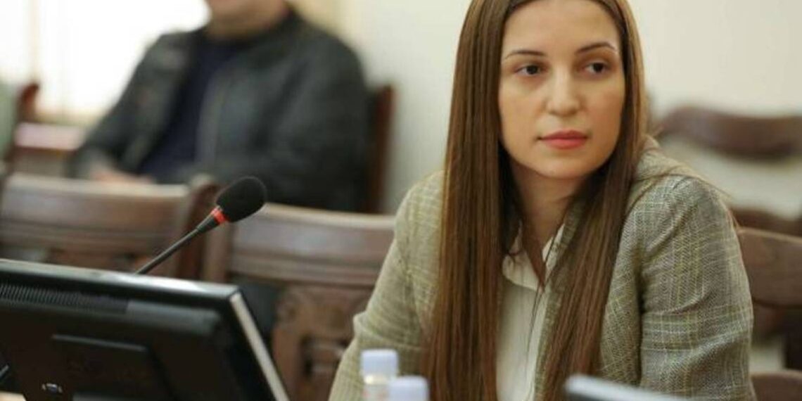 Действиям Азербайджана и Турции ЕС должен дать целевую политическую оценку: Анна Григорян