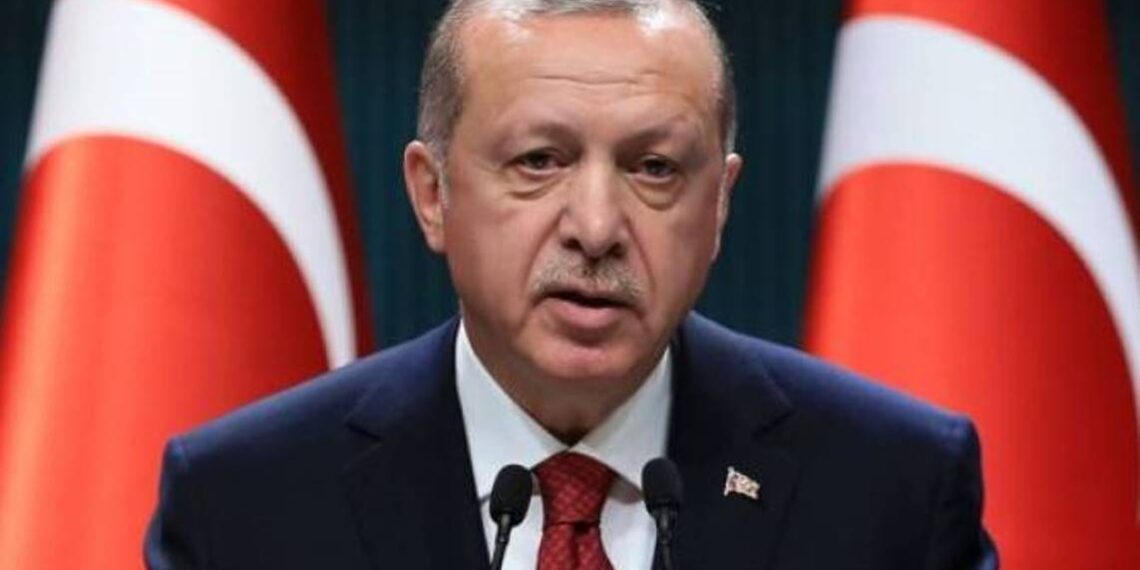 Турция предпримет дальнейшие шаги для улучшения отношений с Арменией: Эрдоган