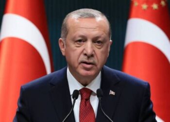 Турция предпримет дальнейшие шаги для улучшения отношений с Арменией: Эрдоган