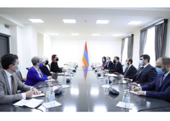 Глава МИД Армении принял сопредседателя Комитета межпарламентского сотрудничества Армения-ЕС