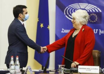 От международных партнеров ожидаем адресной реакции на незаконные действия Азербайджана: Акоп Аршакян