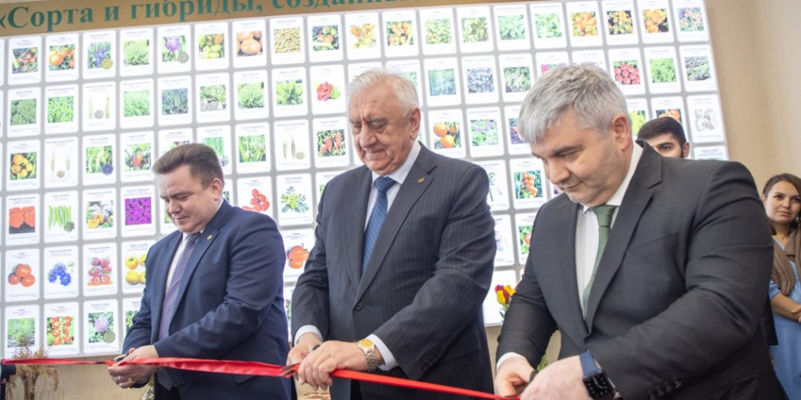 В ЕАЭС обсуждают перспективы развития общего рынка семян сельхоз культур