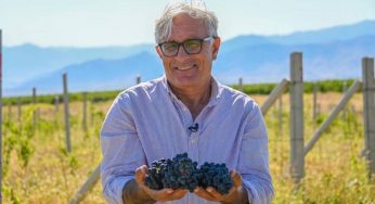 В Армении заложен самый высокогорный органический виноградник