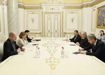 Премьер-министр принял представителя ОБСЕ по вопросам свободы СМИ Терезу Рибейро