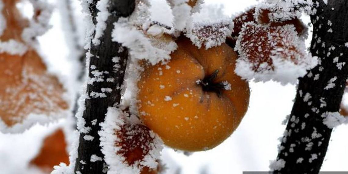 Гидрометслужба Армении призывает не проводить сельхозработы в Араратской долине под открытым небом