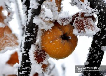 Гидрометслужба Армении призывает не проводить сельхозработы в Араратской долине под открытым небом