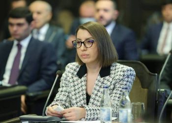 Разговоры о мире со стороны Азербайджана, мягко говоря, не искренни: Омбудсмен Армении