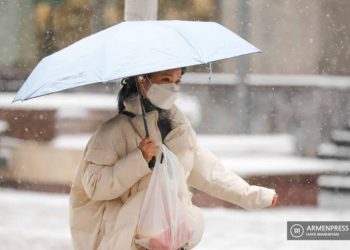 В Армении за прошедший день подтвержден 21 случай заболевания COVID-19