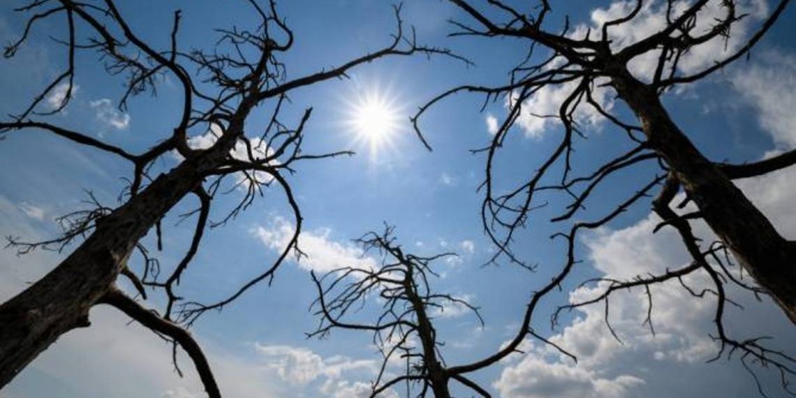 Температура воздуха в Армении повысится на 3-6 градусов