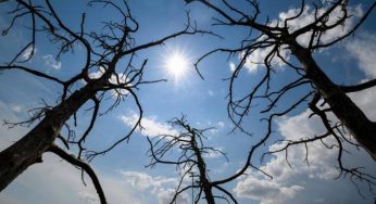 Температура воздуха в Армении повысится на 3-6 градусов