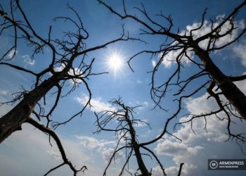 Температура воздуха в Армении повысится на 3-6 градусов