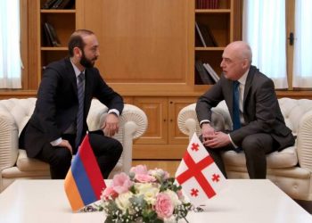 Состоялась встреча глав МИД Армении и Грузии