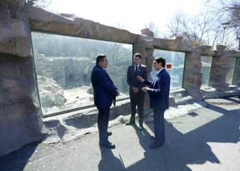 Эдмон Казарян назначен и.о. директора зоопарка Еревана