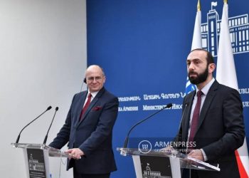 Арарат Мирзоян представил Збигневу Рау ситуацию в Нагорном Карабахе
