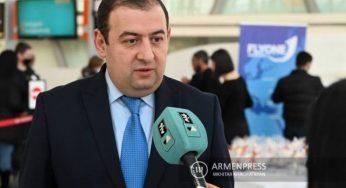 Наша цель – создать эффективную и современную авиакомпанию, и мы добьемся этой цели: Ананян