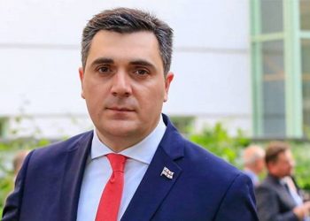 Министр иностранных дел Грузии прибудет в Армению