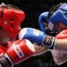 Трое армянских боксеров вышли в финал молодежного чемпионата Европы