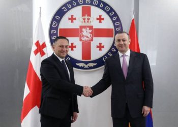 Армен Григорян встретился с секретарем Совета безопасности Грузии