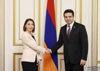 Председатель НС принял защитника прав человека Армении