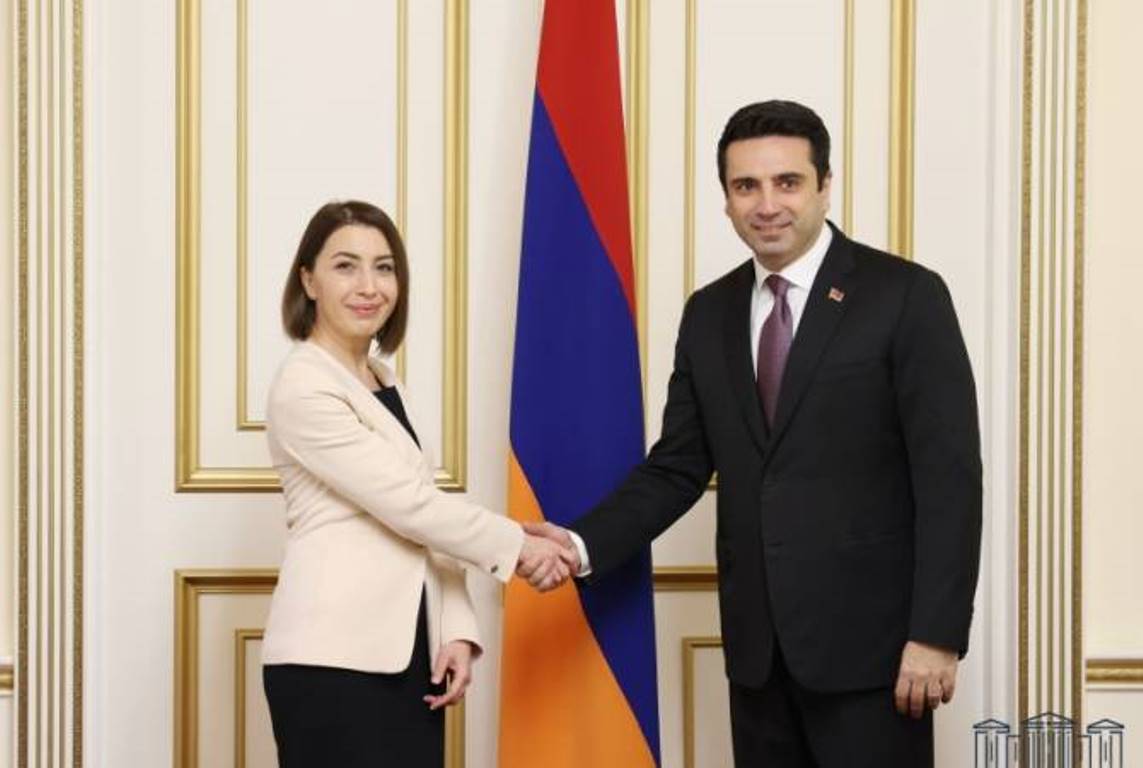 Председатель НС принял защитника прав человека Армении