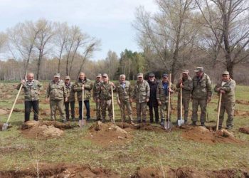 На всей территории Армении проводится общегосударственная посадка деревьев