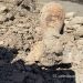 В Армавирской области обнаружена мина