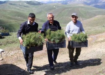 «Зеленая община — устойчивое будущее»