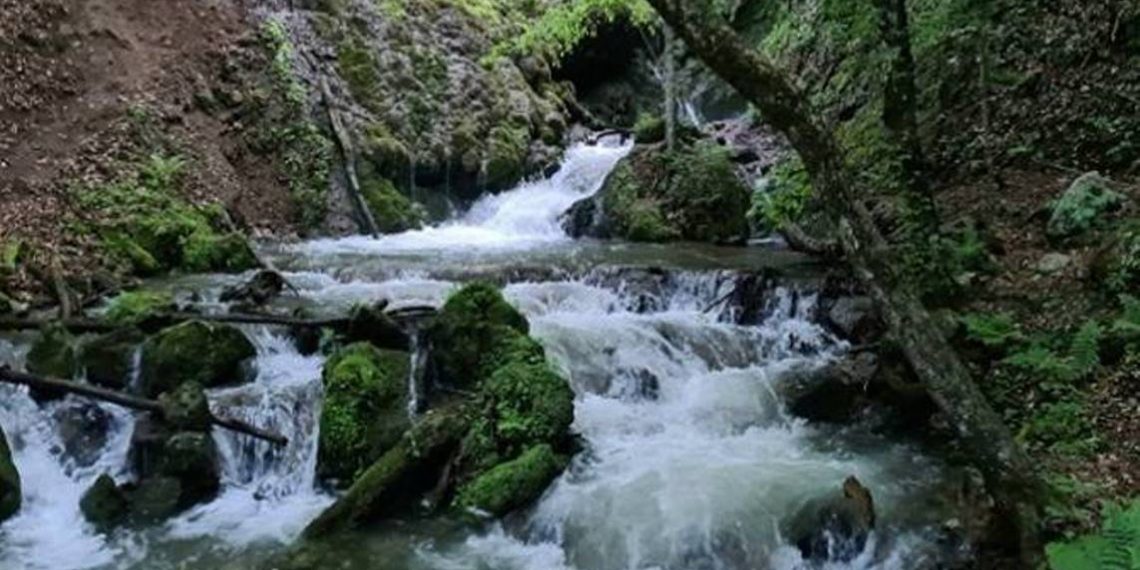 Спасатели обнаружили в реке тело гражданина