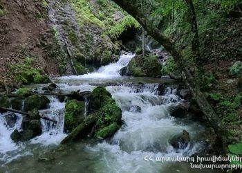 Спасатели обнаружили в реке тело гражданина