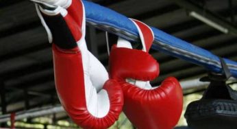 Президент Международной федерации бокса в фан-зоне Лебединого озера подарит боксерам перчатки