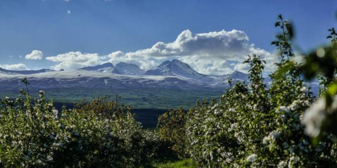 В некоторых районах Армении ожидаются кратковременные дожди